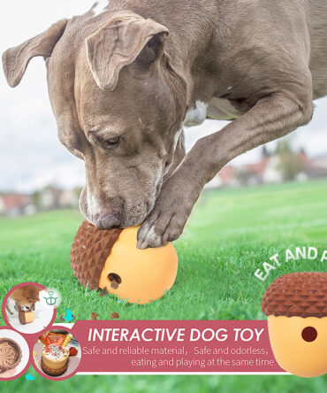 Interactive dog toy