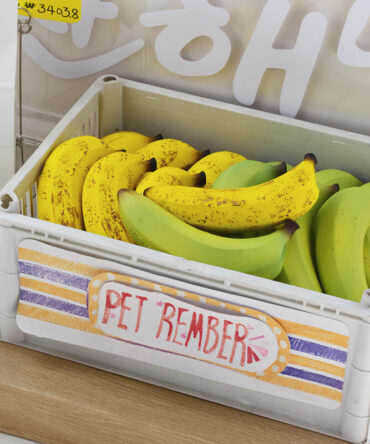 Pet Chew Toy with Noise Maker
