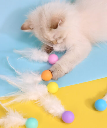 Colorful Feather Bounce Ball