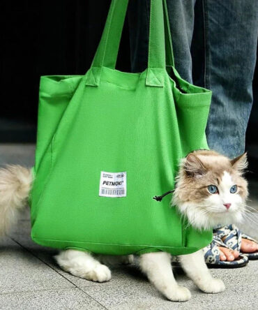 Cat Carrier Bag