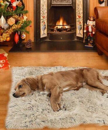 Comfy Calming Pet Blanket