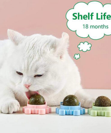Crab Catnip Ball Toy