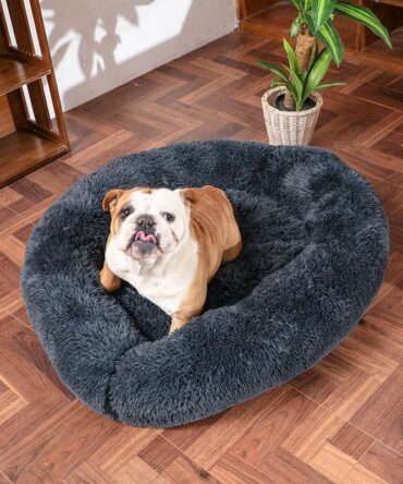 Comfy Calming Dog/Cat Bed