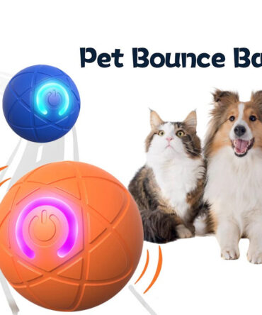 Pet Bounce Ball for Cats & Dogs