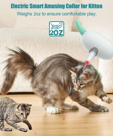 Electric Smart Amusing Collar for Kitten
