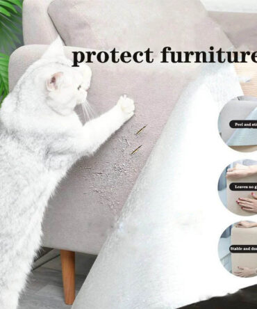 Cat Scratching - Protect Your Furniture