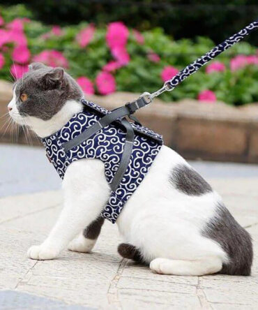 Cat Dogs Vest Harness and Leash Anti-break Away Chest Strap Cat Clothes