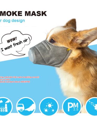 Dog Breathable Cotton Face Mask (3 Pieces)