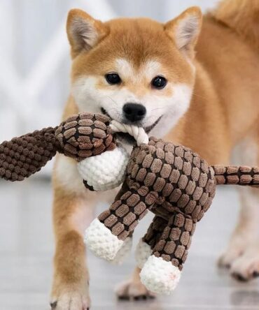 Plush Toy For Aggressive Chewers