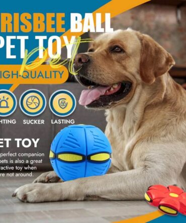Pet Toy Flying Saucer Ball🐾