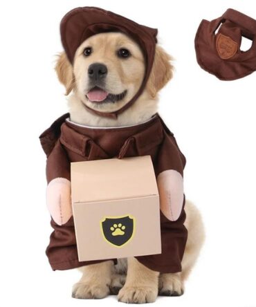 Chucky Pet Costume - Courier
