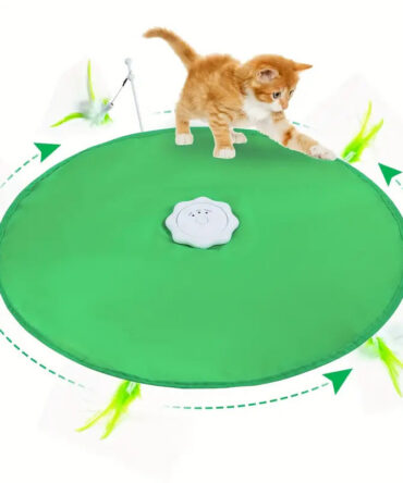 2 IN 1 INTERACTIVE CAT TOY