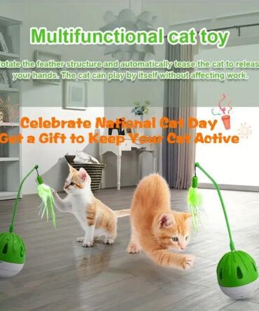 Multifuncational cat toy swing ball