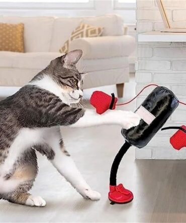 Interactive Cat Punching Bag Toy