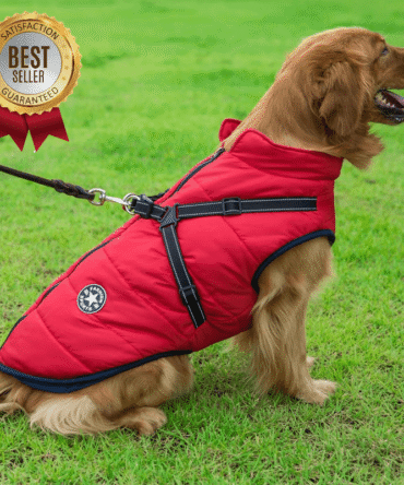 Waterproof Winter Jacket with Built-in Harness