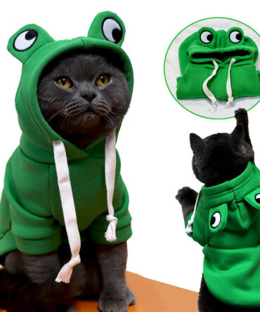 Cute Frog Pet Clothes