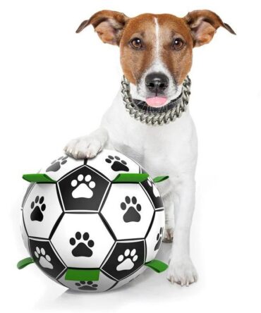 Interactive Football Dog Toy