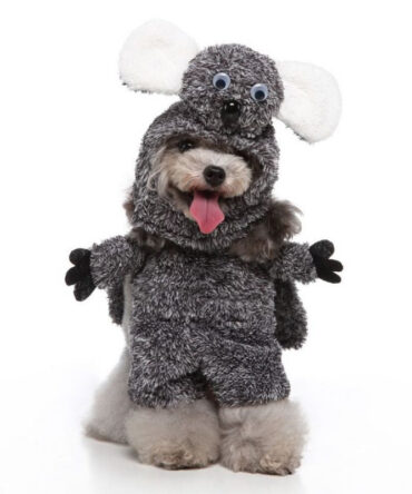 Chucky Pet Costume - Raccoon