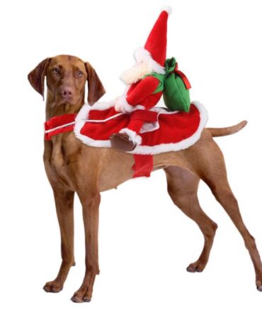 Chucky Pet Costume - Santa Claus 2