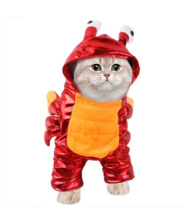 Chucky Pet Costume - Crab