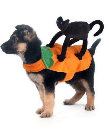 Chucky Pet Costume - Black Cat