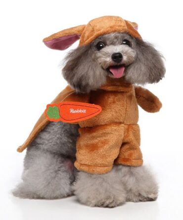 Chucky Pet Costume - Brown Bunny