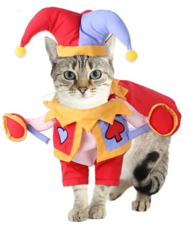 Chucky Pet Costume - Magician