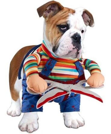 Chucky Pet Costume - Scissorhands