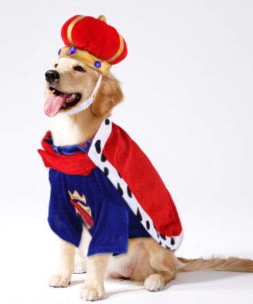 Chucky Pet Costume - King