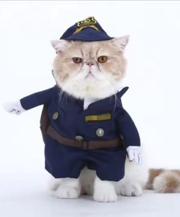 Chucky Pet Costume - Police
