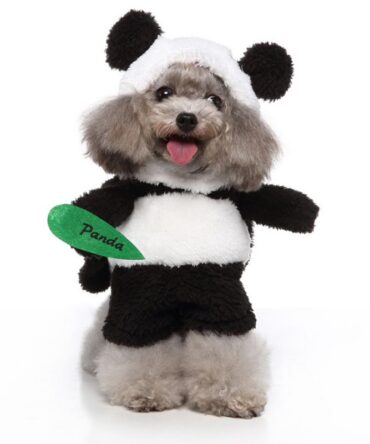 Chucky Pet Costume - Panda