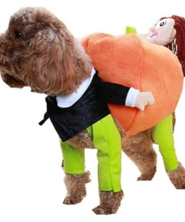 Chucky Pet Costume - Move The Pumpkin