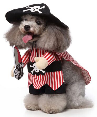 Chucky Pet Costume - Pirate