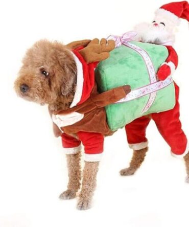Chucky Pet Costume - Santa Claus