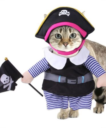 Chucky Pet Costume - Pirate2