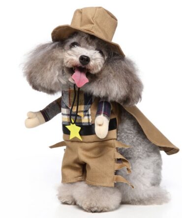 Chucky Pet Costume - Western Cowboy