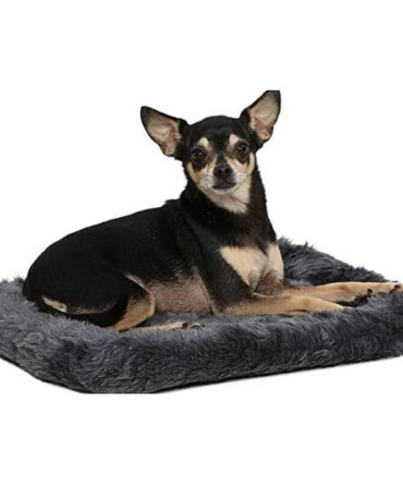 MidWest Bolster Pet Bed
