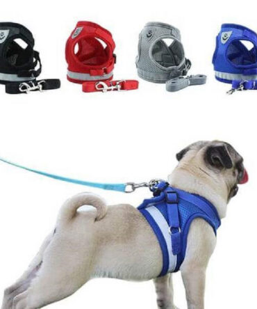 Reflective Safety Afety Harness and Leash Set (For Dogs XXXS to M)