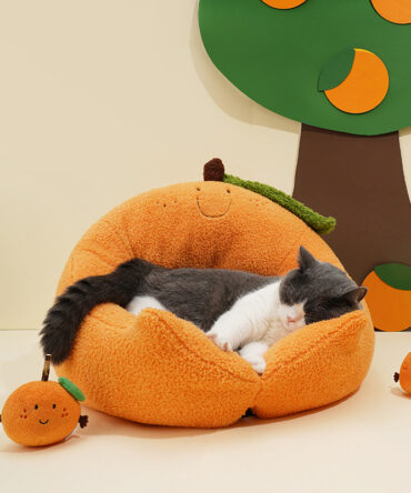 Orange Cat Bed