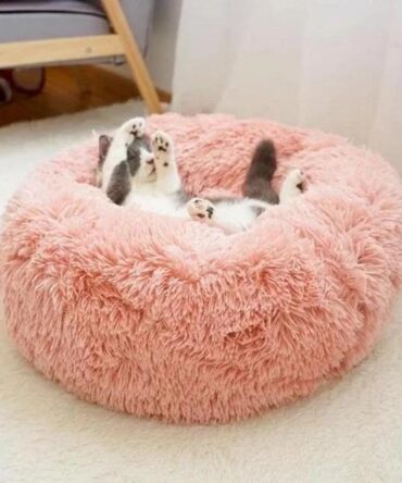 Medium dog Calming Bed